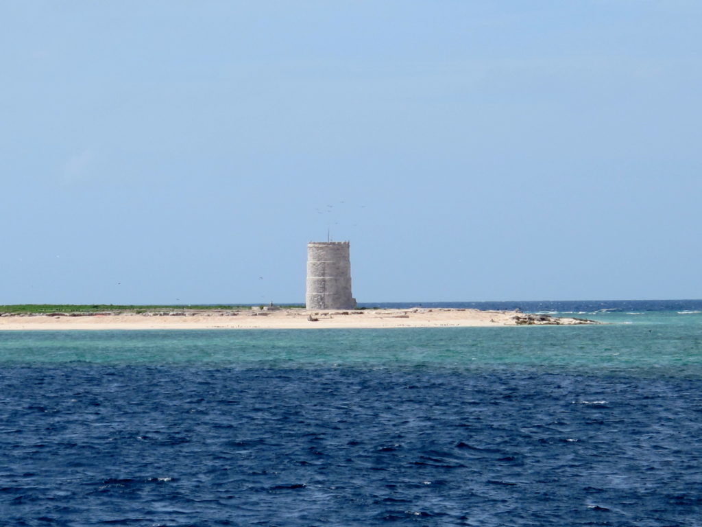 Dive Log Article Found! Nick Leigh Professional Services